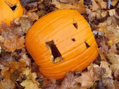 discarded