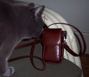 purse